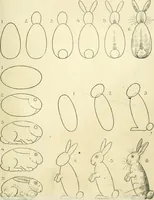 An illustration from Drawing made easy : a helpful book for young artists; the way to begin and finish your sketches, clearly shown step by step (1921)