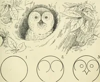 An illustration from Drawing made easy : a helpful book for young artists; the way to begin and finish your sketches, clearly shown step by step (1921)