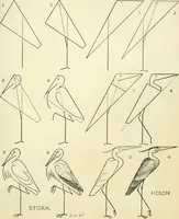 Picture 55 of 143 from Drawing made easy : a helpful book for young artists; the way to begin and finish your sketches, clearly shown step by step (1921), leaf 49