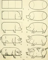 Picture 63 of 143 from Drawing made easy : a helpful book for young artists; the way to begin and finish your sketches, clearly shown step by step (1921), leaf 53