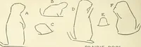 Picture 69 of 143 from Drawing made easy : a helpful book for young artists; the way to begin and finish your sketches, clearly shown step by step (1921), leaf 58