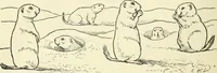 An illustration from Drawing made easy : a helpful book for young artists; the way to begin and finish your sketches, clearly shown step by step (1921)