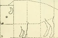 Picture 71 of 143 from Drawing made easy : a helpful book for young artists; the way to begin and finish your sketches, clearly shown step by step (1921), leaf 59