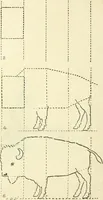 An illustration from Drawing made easy : a helpful book for young artists; the way to begin and finish your sketches, clearly shown step by step (1921)