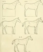 Picture 73 of 143 from Drawing made easy : a helpful book for young artists; the way to begin and finish your sketches, clearly shown step by step (1921), leaf 61