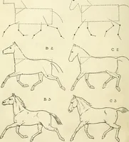 An illustration from Drawing made easy : a helpful book for young artists; the way to begin and finish your sketches, clearly shown step by step (1921)
