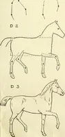 Picture 75 of 143 from Drawing made easy : a helpful book for young artists; the way to begin and finish your sketches, clearly shown step by step (1921), leaf 63