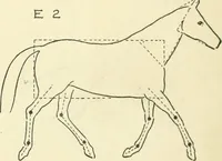 An illustration from Drawing made easy : a helpful book for young artists; the way to begin and finish your sketches, clearly shown step by step (1921)