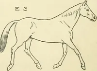 An illustration from Drawing made easy : a helpful book for young artists; the way to begin and finish your sketches, clearly shown step by step (1921)