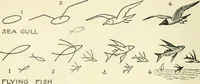 An illustration from Drawing made easy : a helpful book for young artists; the way to begin and finish your sketches, clearly shown step by step (1921)