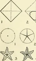 Picture 83 of 143 from Drawing made easy : a helpful book for young artists; the way to begin and finish your sketches, clearly shown step by step (1921), leaf 66