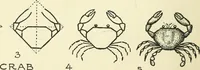 An illustration from Drawing made easy : a helpful book for young artists; the way to begin and finish your sketches, clearly shown step by step (1921)