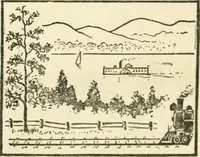 Picture 142 of 143 from Drawing made easy : a helpful book for young artists; the way to begin and finish your sketches, clearly shown step by step (1921), leaf 99