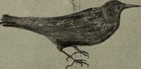 An illustration from Drawing and painting self-taught (1922)