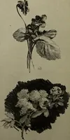 An illustration from Drawing and painting self-taught (1922)