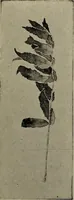 An illustration from Drawing and painting self-taught (1922)
