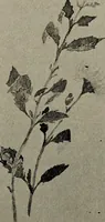 An illustration from Drawing and painting self-taught (1922)