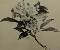 An illustration from Drawing and painting self-taught (1922)