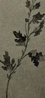 Picture 92 of 104 from Drawing and painting self-taught (1922), leaf 171