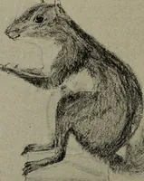 An illustration from Drawing and painting self-taught (1922)