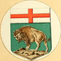 Picture 87 of 462 from Drawings of the flags in use at the present time by various nations (1916), leaf 107