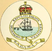 Picture 100 of 462 from Drawings of the flags in use at the present time by various nations (1916), leaf 111