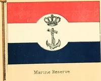 Picture 337 of 462 from Drawings of the flags in use at the present time by various nations (1916), leaf 335