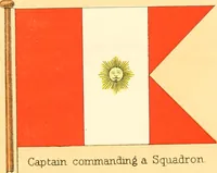 Picture 350 of 462 from Drawings of the flags in use at the present time by various nations (1916), leaf 351