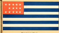 Picture 400 of 462 from Drawings of the flags in use at the present time by various nations (1916), leaf 393
