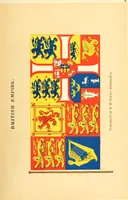 Picture 8 of 462 from Drawings of the flags in use at the present time by various nations (1916), leaf 55