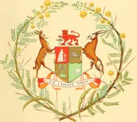Picture 58 of 462 from Drawings of the flags in use at the present time by various nations (1916), leaf 91
