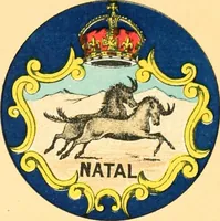 Picture 60 of 462 from Drawings of the flags in use at the present time by various nations (1916), leaf 93