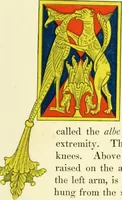 An illustration from Dresses and decorations of the Middle Ages (1843)