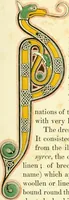 An illustration from Dresses and decorations of the Middle Ages (1843)