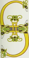 Picture 8 of 101 from Dresses and decorations of the Middle Ages (1843), leaf 37