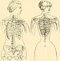 An illustration from Dress, and how to improve it (1897)