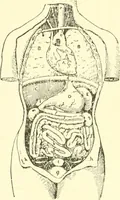 An illustration from Dress, and how to improve it (1897)