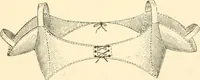 An illustration from Dress, and how to improve it (1897)