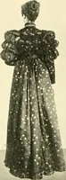 An illustration from Dress, and how to improve it (1897)