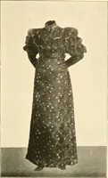 An illustration from Dress, and how to improve it (1897)