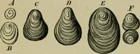 An illustration from Dressings and finishings for textile fabrics and their application; description of all the materials used in dressing textiles (1911)