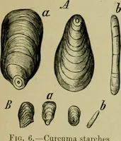 Picture 3 of 43 from Dressings and finishings for textile fabrics and their application; description of all the materials used in dressing textiles (1911), leaf 39