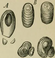 An illustration from Dressings and finishings for textile fabrics and their application; description of all the materials used in dressing textiles (1911)
