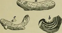 An illustration from Dressings and finishings for textile fabrics and their application; description of all the materials used in dressing textiles (1911)