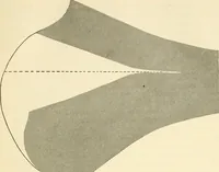 An illustration from Dressmaking (1917)