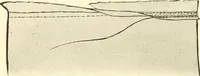 An illustration from Dressmaking (1917)