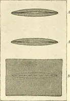 An illustration from Dressmaking (1917)