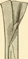 An illustration from The dress you wear and how to make it (1918)