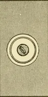 An illustration from The dress you wear and how to make it (1918)