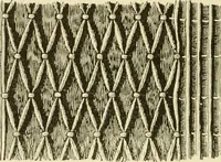 An illustration from The dress you wear and how to make it (1918)